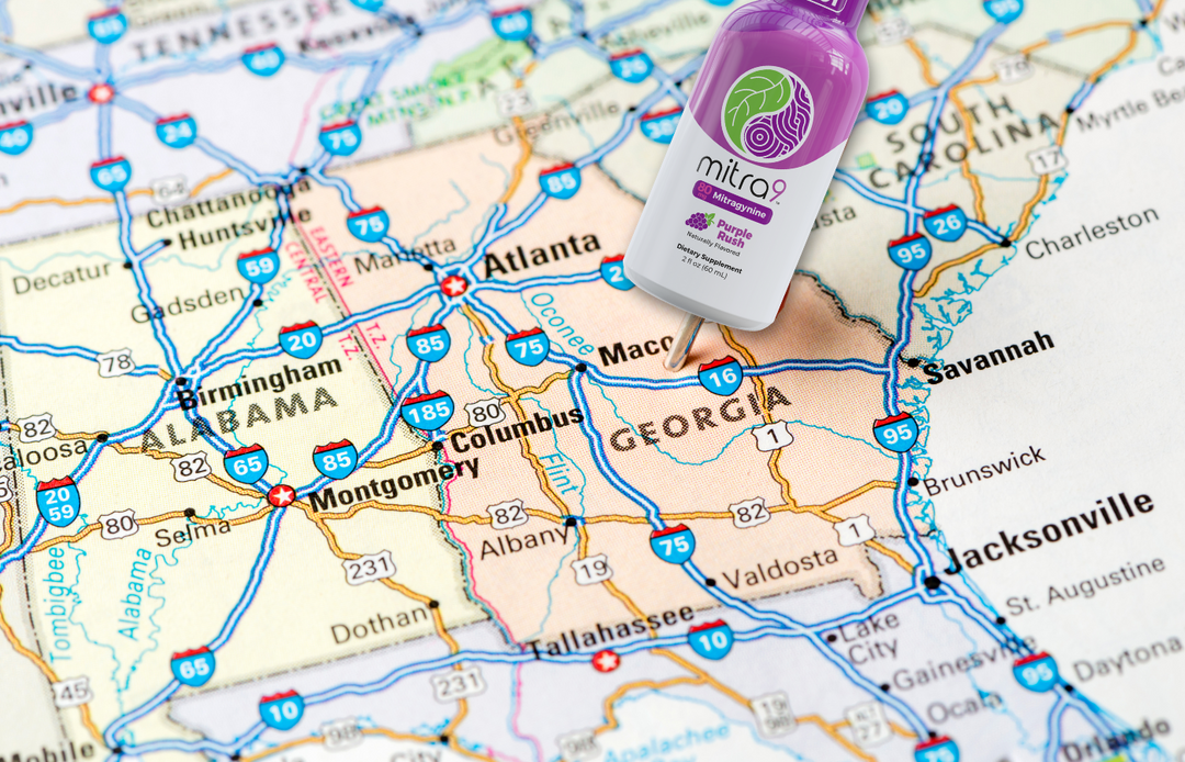 Southeast United States Map centered on Georgia Kratom Shot GPS Pin