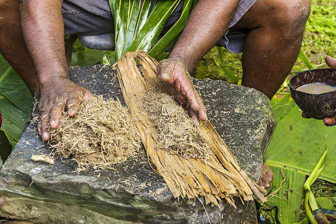 A Deep Dive into Its Short and Long-Term Effects of Kava