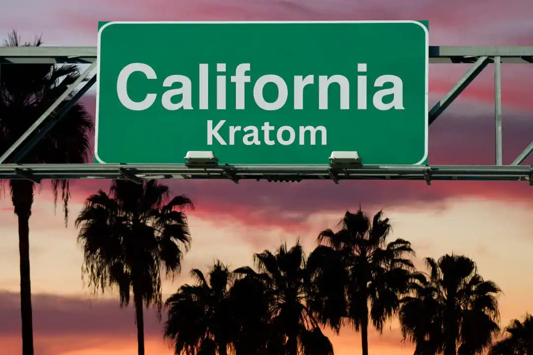 California Kratom Seltzer Street Sign Palm Trees