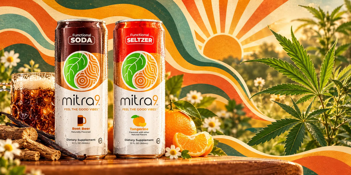 Functional Beverages vs. Hemp Drinks: Complete Comparison