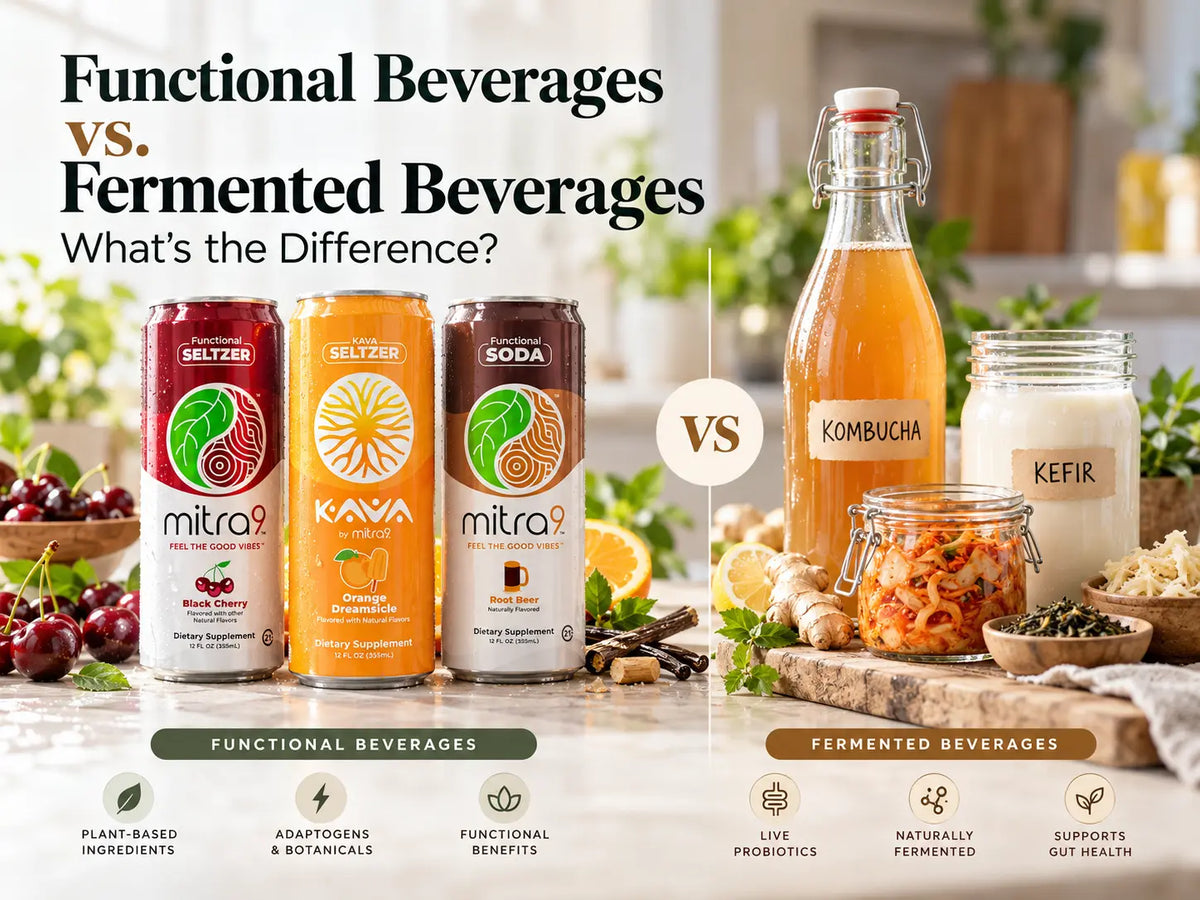 Mitra9 Black Cherry Functional Seltzer, Orange Dreamsicle Kava Seltzer, and Root Beer Functional Soda compared with fermented beverages like kombucha and kefir.