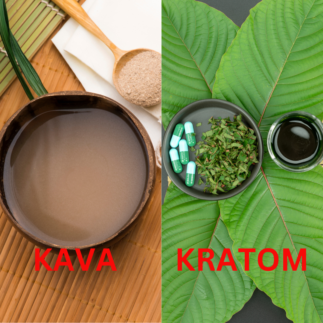 Understanding the Differences Between Kava and Kratom