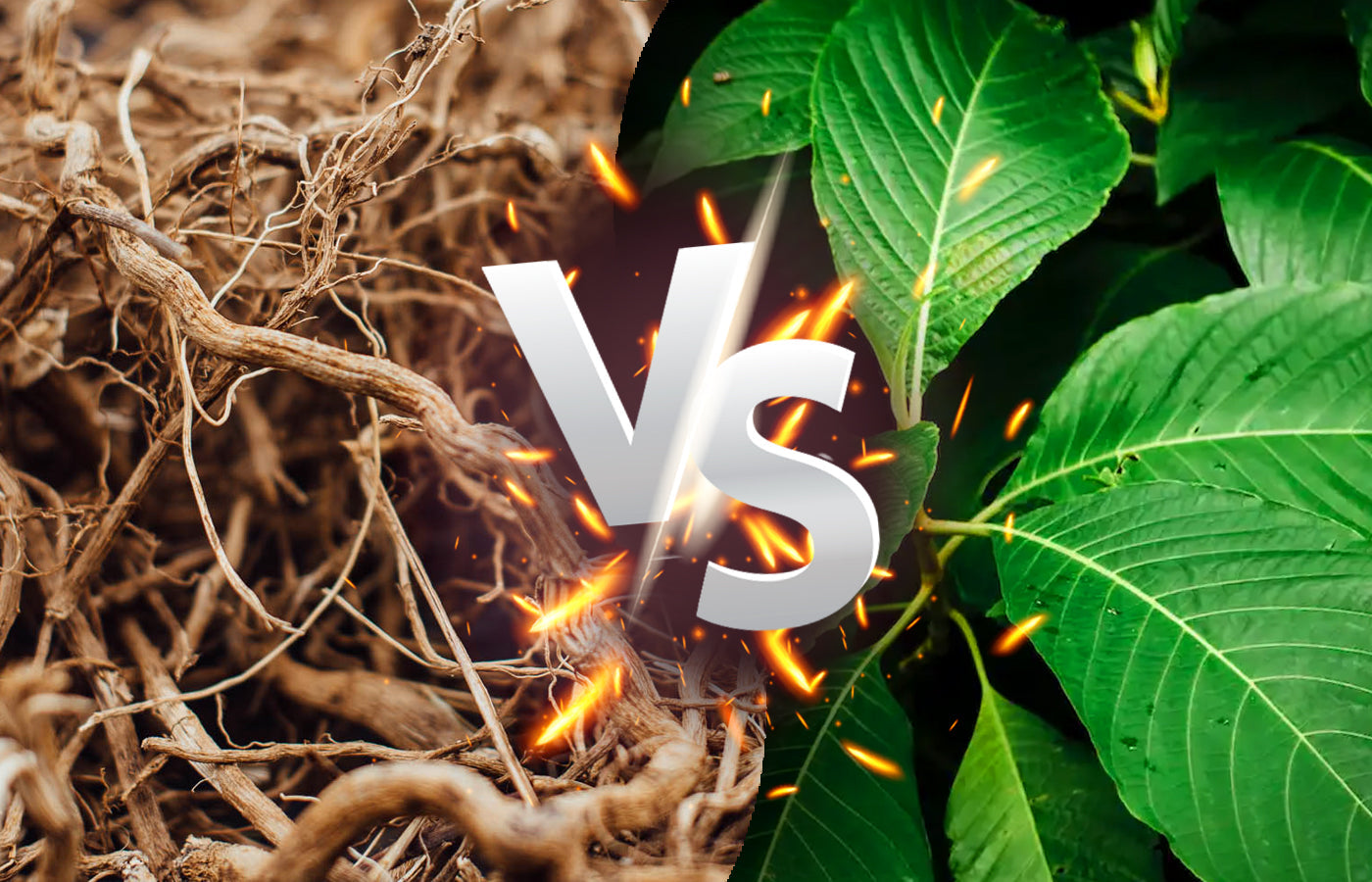 Kava Root vs Kratom Leaf