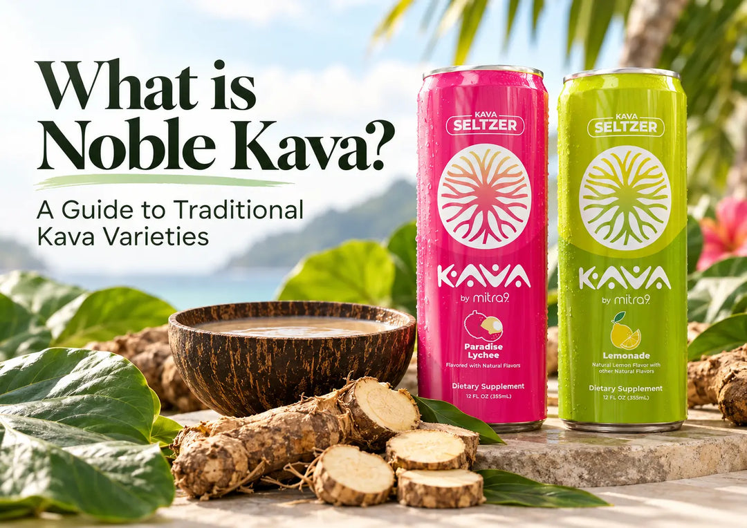 Paradise Lychee and Lemonade Kava Seltzers by Mitra9 displayed alongside traditional kava roots and a wooden bowl of prepared kava, highlighting noble kava varieties and their Pacific Island origins.