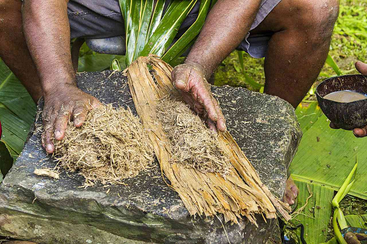 A Deep Dive into Its Short and LongTerm Effects of Kava Mitra9